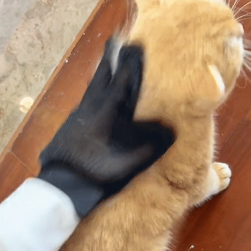 Guante Quita Pelo para Mascotas - Elimina Pelo Muerto - Comodo para Mascota