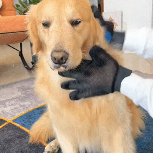 Guante Quita Pelo para Mascotas - Elimina Pelo Muerto - Comodo para Mascota