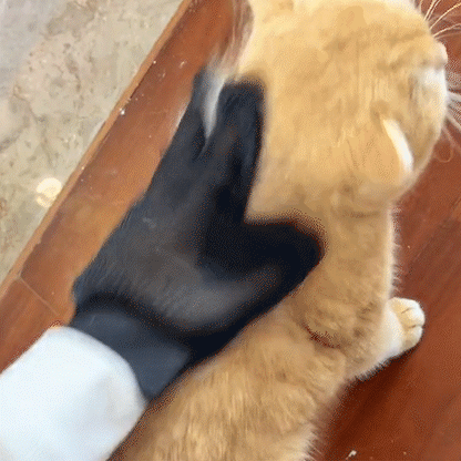 Guante Quita Pelo para Mascotas - Elimina Pelo Muerto - Comodo para Mascota